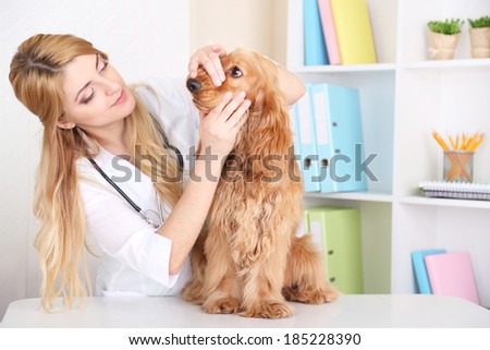 Beautiful young female veterinarian examining dog in clinic