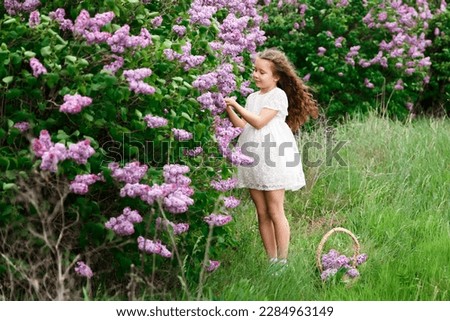 beautiful young girl with a bouquet of lilacs, a girl in lilacs, lilacs in spring. Young beautiful brunette girl posing with a bouquet of lilac


