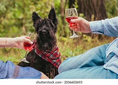 Beautiful young happy loving couple on picnic. A couple in love and a dog on a picnic in the park. A man and a woman are holding glasses of red wine. - Powered by Shutterstock