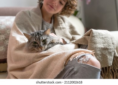 beautiful young happy woman, with curly brown hair, wrapped in warm beige scarf, sits on comfortable sofa, holds beloved gray cat in arms, which purrs with pleasure, closing eyes. Just relaxing