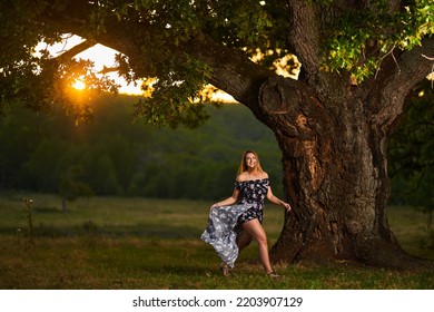 Beautiful young Indian plus size woman at sunset by a very large centennial oak tree in front of the forest - Powered by Shutterstock