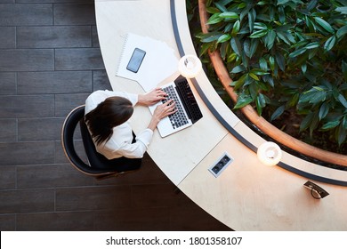 Beautiful young lady typing on her laptop while sitting at a comfortable table near a green plant - Powered by Shutterstock