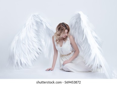 天使の羽根 Images Stock Photos Vectors Shutterstock
