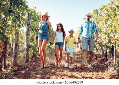 Beautiful young smiling family of four walking through a vineyard.