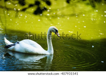 Similar – surfers Green Swan Waves