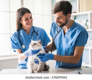 Beautiful Young Veterinarians Are Examining A Cute Cat And Smiling While Working In Clinic