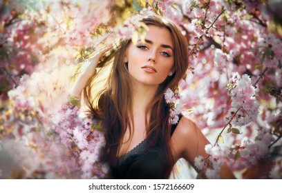 Beautiful Young Woman In Blooming Cherry Blossoms Garden