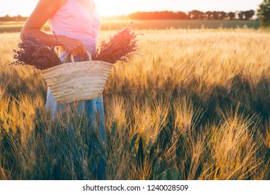 Beautiful young woman in blue dress holds bouquet of flowers lavender in basket while walking outdoor through wheat field at sunset in summer. Provence, France. Toned image with copy space. - Shutterstock ID 1240028509