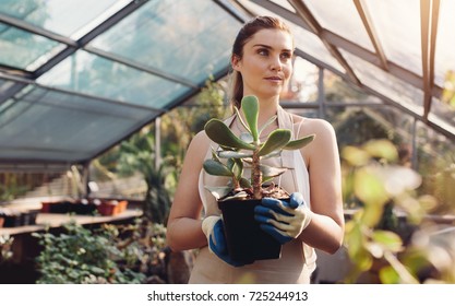 20,280 Woman plant nursery Images, Stock Photos & Vectors | Shutterstock