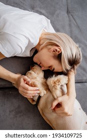 Beautiful Young Woman Cuddles With Her Dog At Home On The Couch. Pets At Home, Cocker Spaniel Dog