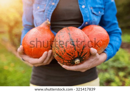 Similar – Image, Stock Photo summer joy Organic produce