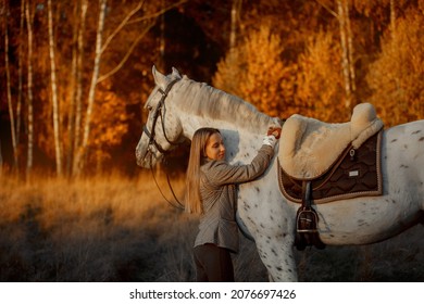 English hunter Images, Stock Photos & Vectors | Shutterstock