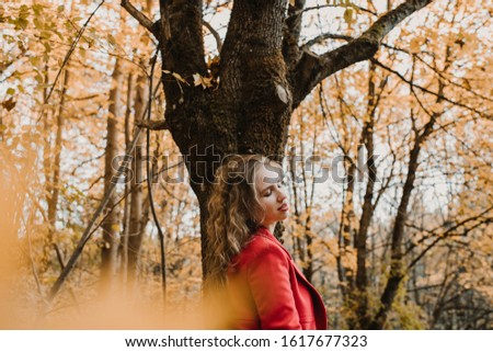 Similar – Image, Stock Photo [LS129]