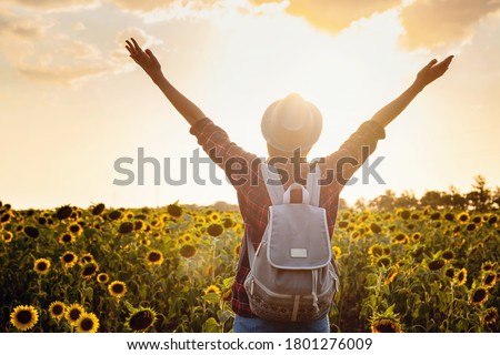 Similar – Image, Stock Photo Sunflowers Field at Sunset.Nature Background