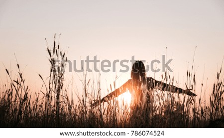 Similar – Image, Stock Photo Woman, both hands in the hair, back view