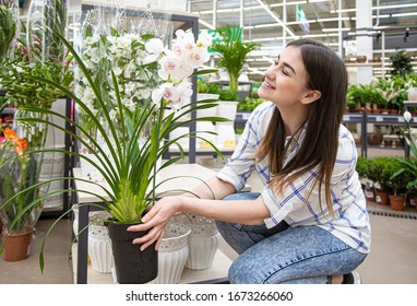 Beautiful young woman in a flower shop and choosing flowers. The concept of gardening and flowers . - Shutterstock ID 1673266060
