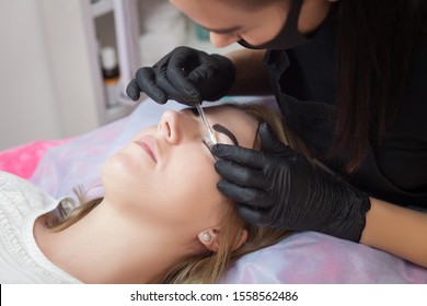 Beautiful young woman gets eyebrow correction and eyelush laminating procedure.Young woman painting her eyelush in beauty salon.