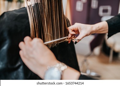 Beautiful young woman getting her haircut by a hairstylist at a beauty salon.
