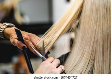 Beautiful Young Woman Getting Her Haircut By A Hairstylist At A Beauty Salon.