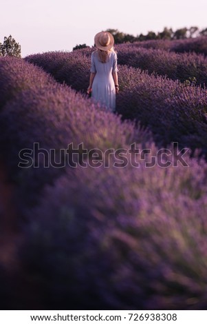 Similar – #A# Lavender walk Art