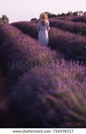 Similar – #A# Lavender walk Art