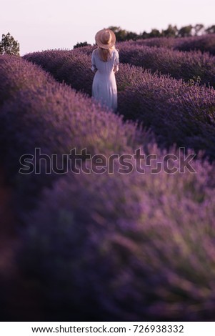 Similar – #A# Picking lavender Art