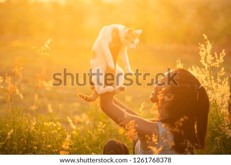 Image, Stock Photo Norwegian Forestcat Cat