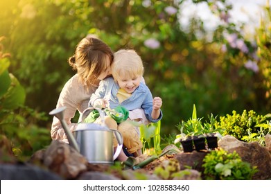 Beautiful Young Woman And Her Cute Son Planting Seedlings In Bed In The Domestic Garden At Summer Day. Garden Tools, Gloves And Watering Can Outdoors. Gardening Activity With Little Kid And Family