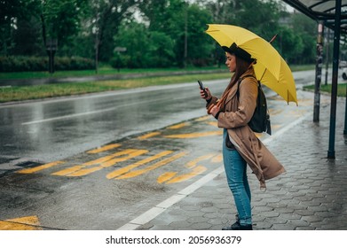 Beautiful Young Woman Holding Yellow Umbrella And Waiting For Public Transportation While On The Bus Stop During Rain