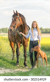 Beautiful young woman with a horse and a dog.