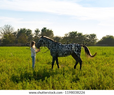 Beautiful young woman with a horse, on a green summer meadow.
