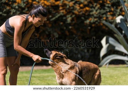 beautiful young woman hosing down her pet sheepdog in the garden of her home on a sunny day