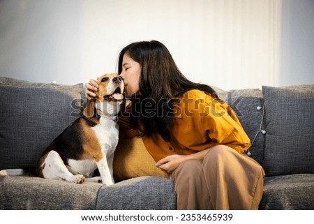 Beautiful young woman kiss her cute Beagle dog on couch at home. Lovely pet