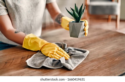 Beautiful young woman makes cleaning the house. Girl rubs dust. Woman in protective gloves is smiling and wiping dust using a duster while cleaning her house.
