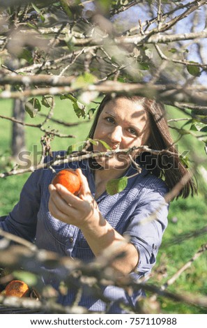 Similar – Image, Stock Photo Woman picking apples with basket in her hands