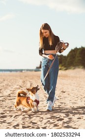 Beautiful Young Woman Playing With Corgi Puppy Walking Along Ocean Beach. Female Looking To Dog On Sunny Day On Ocean Coastline. Active Lifestyle, Pet Care