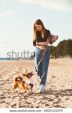 Beautiful young woman playing with Corgi puppy walking along ocean beach. Female looking to dog on Sunny day on ocean coastline. Active lifestyle, pet care