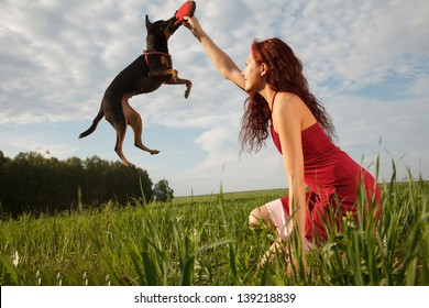 Beautiful Young Woman Playing With Her Dog In Park.Dog Is Jumping For Her Frisbee