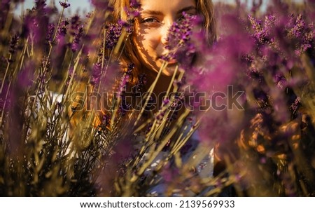Similar – Image, Stock Photo Seen from the frog’s perspective: Lavender, poppy and curious woman