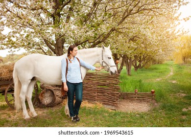 A Beautiful Young Woman Poses Next To A White Horse. Cowboy, Ranch, Village. Love Friendship Concern. Pet. Outside The Door, Green Grass Woods. Sunlight. Blurred Background, Screensaver Magic