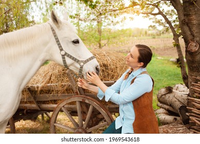 A Beautiful Young Woman Poses Next To A White Horse. Cowboy, Ranch, Village. Love Friendship Concern. Pet. Outside The Door, Green Grass Woods. Sunlight. Blurred Background, Screensaver Fairytale
