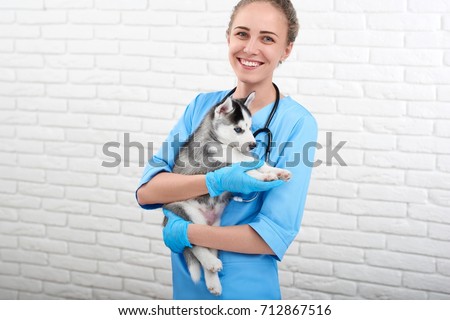 Beautiful young woman professional vet smiling joyfully holding adorable little husky puppy posing at her medical office.