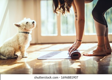 A Beautiful Young Woman Is Rolling Up Exercise Mat And Preparing To Do Yoga. She Is Exercising On Floor Mat In Morning Sunshine At Home Supporting By Her Pet Dog.