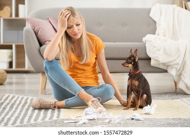 Beautiful Young Woman Scolding Cute Toy Terrier Dog For Making Mess At Home