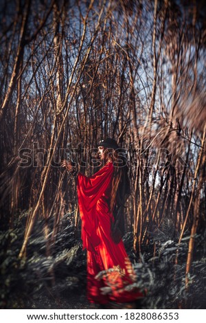 Similar – Mädchen in rotem Kleid im Wald