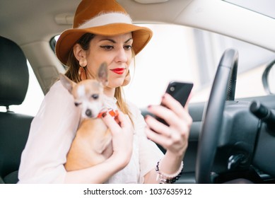 Beautiful Young Woman Using Her Mobile Phone In The Car, With Chihuhua Dog