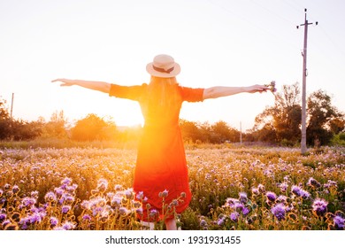 Beautiful young woman in violet phacelia flowers field in sunset tima