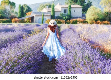 Beautiful young woman walking the field of lavender in Provence, France, national park Luberon. Fashion outfit blue dress, straw hat. Back view. Traditional house in background. Violet in nature.