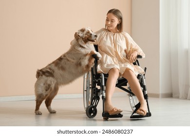 Beautiful young woman in wheelchair with cute service dog indoors - Powered by Shutterstock