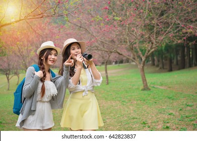 beautiful young women holding travel camera and pointing blooming sakura sharing with friend during spring travel in japan sightseeing cherry blossom park.